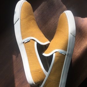 Toms sunflower and white slip on shoes
